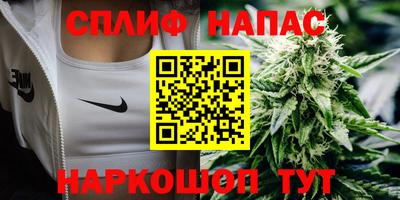 СК Славгород