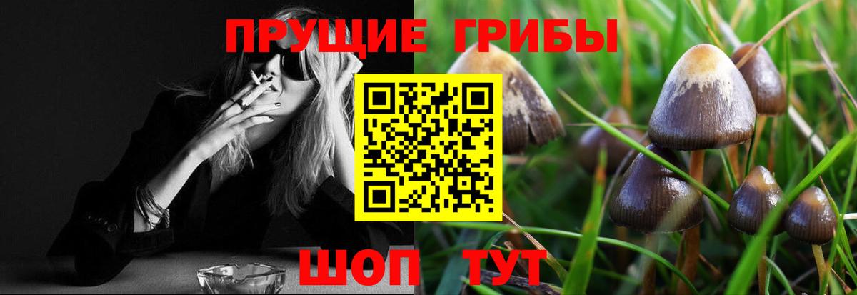 Псилоцибиновые грибы мицелий  Вход с VPN  Псилоцибиновые грибы мухоморы  Ногинск 