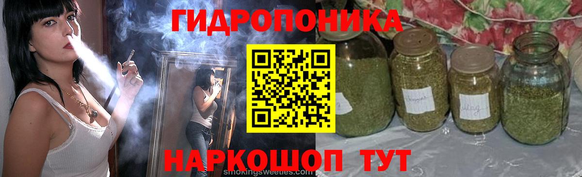 Каннабис сатива Ногинск